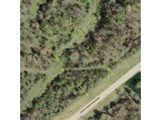 4505 Maggie Marie Blvd, Medina, OH 44256-6963
