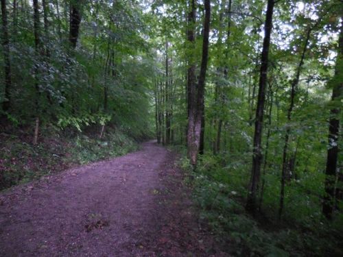 827 Shiloh Rd, Crawford, TN 38554-3803