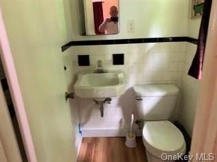 235 Lake St, South Fallsburg NY  12779-5324 exterior