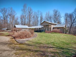 119 Laurel Hollow Way, Saluda, NC 28773-8789