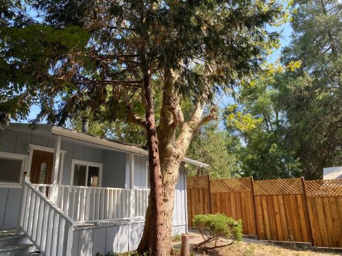 615 Kechely Ct, Grass Valley CA  95945-7514 exterior
