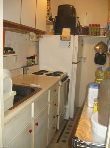 517 Plumosa Ave, Lehigh Acres FL 33972-7910 exterior