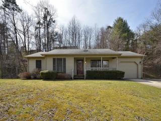 9 Lapsley Ln, Oak Park, NC 28704-8444