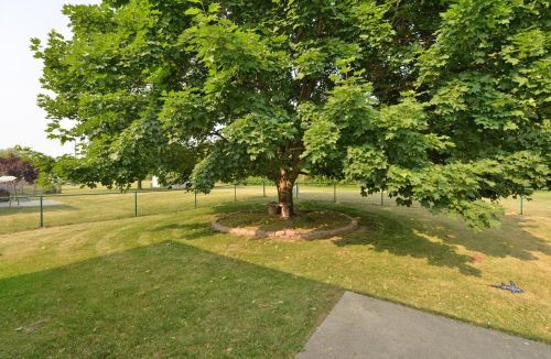 8249 57 Ave, Kenosha WI 53142-4758 exterior