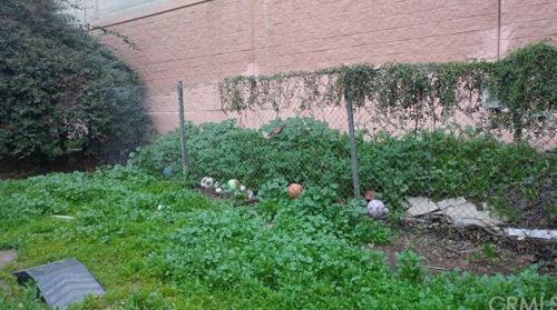 3128 Mulberry St, Riverside CA 92501-2939 exterior