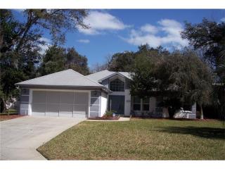 3 Blue Beech Ct, Homosassa, FL 34446-5117