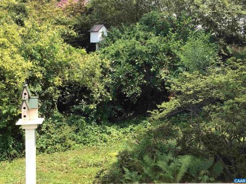 231 Main St, Madison Mills VA  22960-1732 exterior