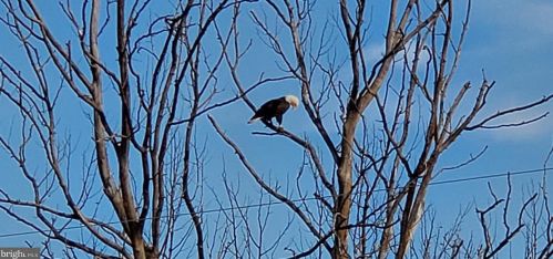 1578 Royal Way, Montross VA  22520-4045 exterior