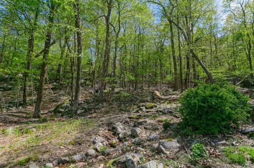 297 Bramertown Rd, Tuxedo Park NY  10987-3011 exterior