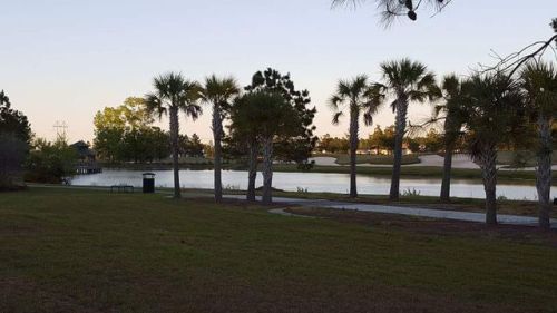 1013 Club Way, Bellinger, SC 29927-4258