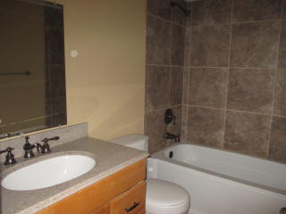 4020 Manzinita St, Fort Worth TX  76137-1423 exterior