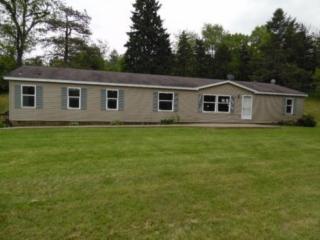 8268 Harrisburg Rd, Orient, OH 43146-9528