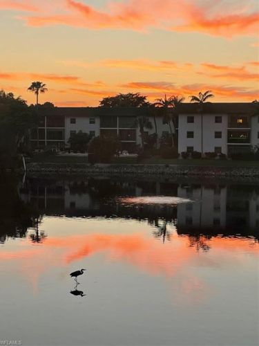 3055 Riviera Dr, Naples FL  34103-2753 exterior