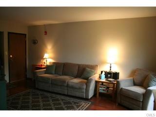 138 Aspetuck Vlg, Northville CT  06776-5622 exterior