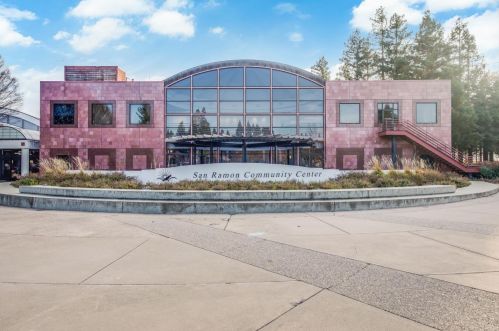 510 Fallen Leaf Cir, San Ramon CA  94583-4466 exterior