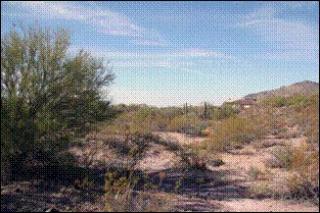 8169 Tecolote Cir, Scottsdale, AZ 85266-1046