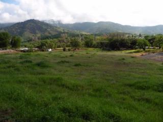 28422 Burrough Valley Rd, Tollhouse, CA 93667-9709