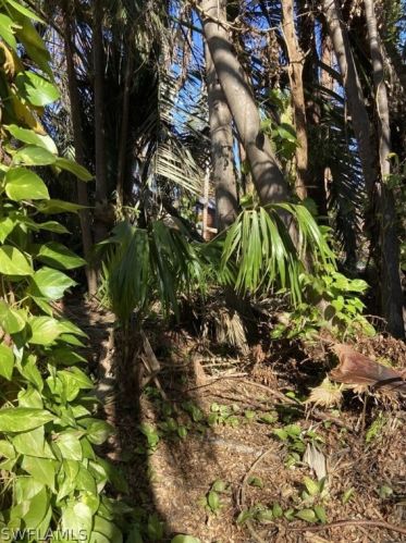 3548 Tangerine Dr, Saint James City FL  33956-2536 exterior