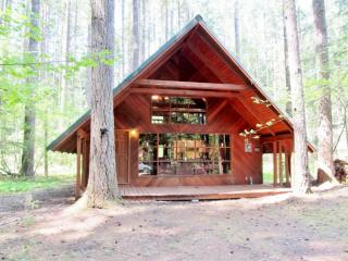 145 Mount Rainier Dr, Packwood WA  98361-9733 exterior