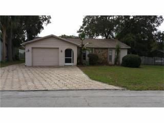8700 Jolly Roger Dr, Port Richey, FL 34667-4166