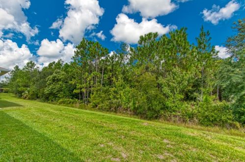 1042 Harbor Ridge Dr, Kissimmee FL  34759-6208 exterior