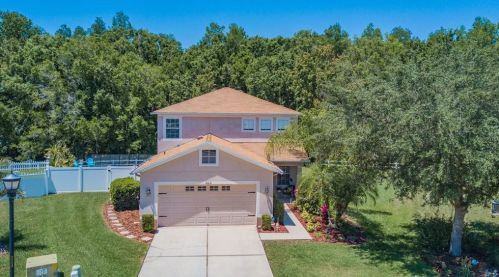 18231 Kentisbury Ct, Land O Lakes, FL 34638-6136