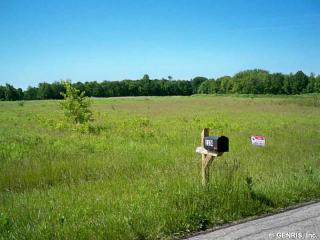 1089 Plank Rd, Webster, NY 14580-9350