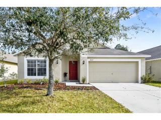 18107 Saxony Ln, Orlando, FL 32820-2714