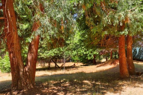 6016 Silverleaf Dr, Michigan Bluff CA  95631-9631 exterior