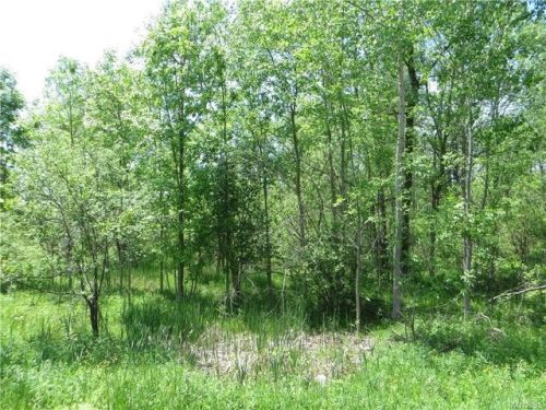 652 County Line Rd, Townline NY  14004-9754 exterior