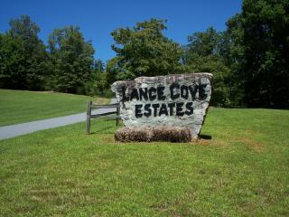 14 Mission Ridge Dr, Hayesville, NC 28904-8411