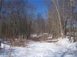101 Boston Tpke, W Willington, CT 06279-2125