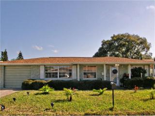 3410 Umber Rd, Tarpon Springs, FL 34691-3357