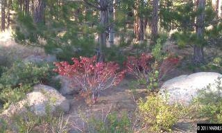100 Keaton Ct, Reno, NV 89511-2768