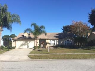 4260 Pondapple Dr, Titusville, FL 32796-1432