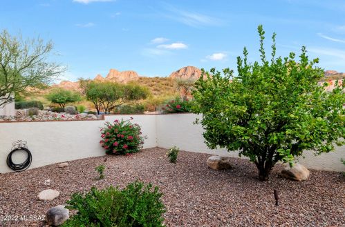 1931 Buck Rdg Pl, Tucson AZ 85737-6010 exterior