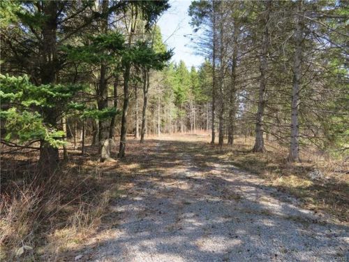 8327 Bolton Rd, Rural Hill, NY 13650-2047