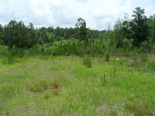 523 Key Rd, Sanford, NC 27332-0525