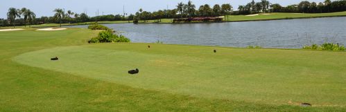 42 Northwoods Ln, Boynton Beach FL  33436-7405 exterior