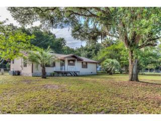 17353 160th Avenue Rd, Weirsdale, FL 32195-3116