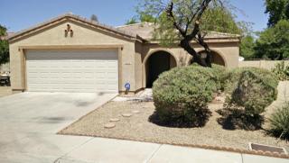 8342 Watkins St, Tolleson, AZ 85353-8911
