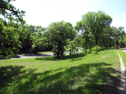 2105 25 Ave, Minneapolis MN 55406-1018 exterior