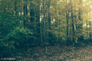 14710 Rapidan Rd, Fredericksburg, VA 22407-1578