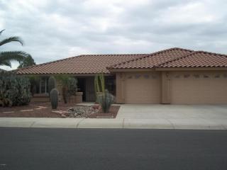 11041 Nichols Ave, Mesa, AZ 85209-2971