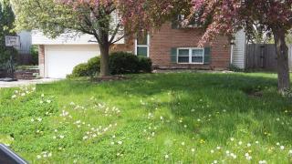 273 Bernard Dr, Liberty Township, OH 45050