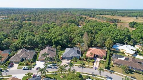9036 Callaway Dr, New Port Richey, FL 34655-4612