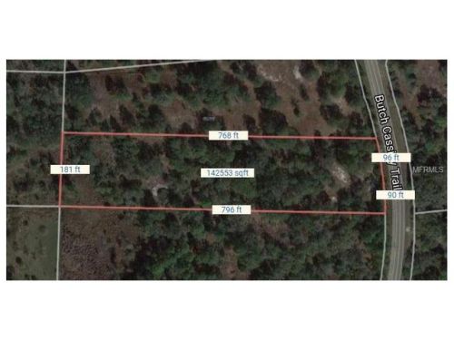 705 Butch Cassidy Trl, Wimauma, FL 33598-7545