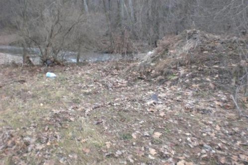 121 Marsh Hill Rd, Trout Run, PA 17771-8786