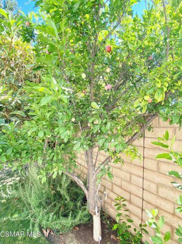 31 Tall Cedars, Irvine CA  92620-3669 exterior