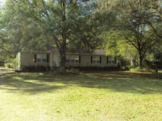 3515 Kent Path Ct, Lithia, FL 33547-3211